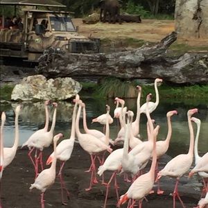 Meet your Posher, Regina